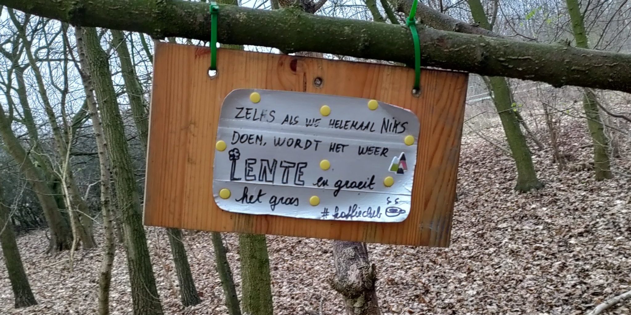 Blog 2022 01 Langzaam kom ik weer uit mijn winterslaap